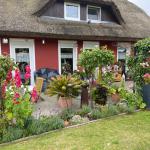 reetgedecktes Ferienhaus mit Garten in Gager auf Rügen