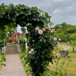 Garteneingang Groß Zicker Ferienwohnung