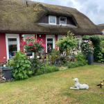 reetgedecktes Ferienhaus in Gager auf Rügen